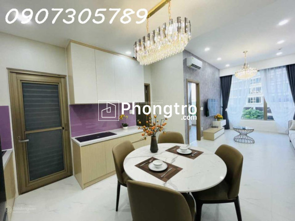 Chuyên cho thuê các căn hộ cao cấp khu phú mỹ hưng quận 7, hcm: 1pn, 2pn, 3pn, penthouse, ngắn hạn