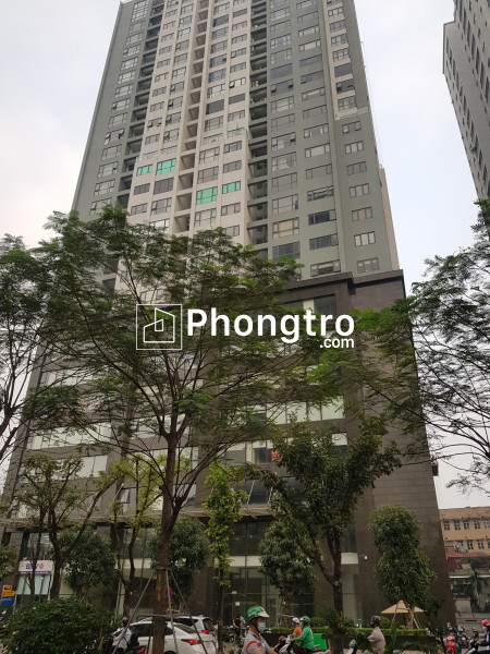 Cho thuê văn phòng petrowaco, mặt phố láng hạ, quận đống đa, dt 100m2, 500m2, 1000m2