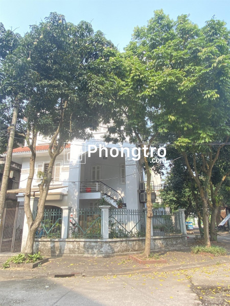 Chho thuê nhà biệt thự 8 phòng mb235m2 tại từ sơn bắc ninh