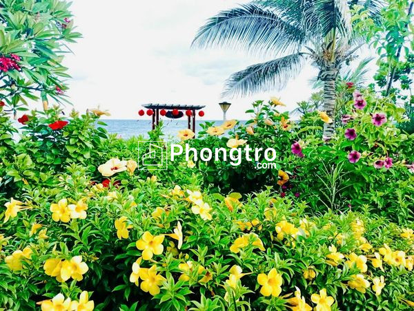 Cho thuê ngắn hoặc dài hạn villa biển oceanami 3,4,5 pn full nội thất cao cấp