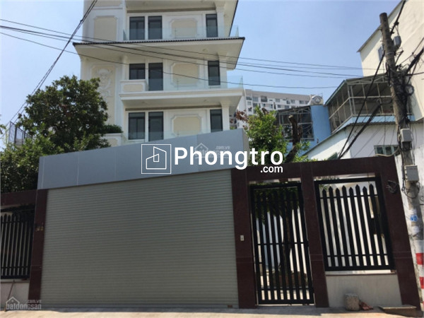 Cho thuê nhà mặt tiền số 164a bùi thị xuân, p3, quận tân bình