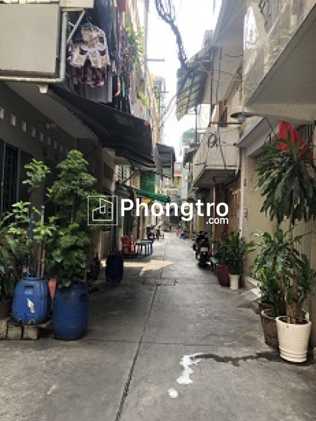 Cho thuê nhà hẻm quận 5 thành phố hồ chí minh